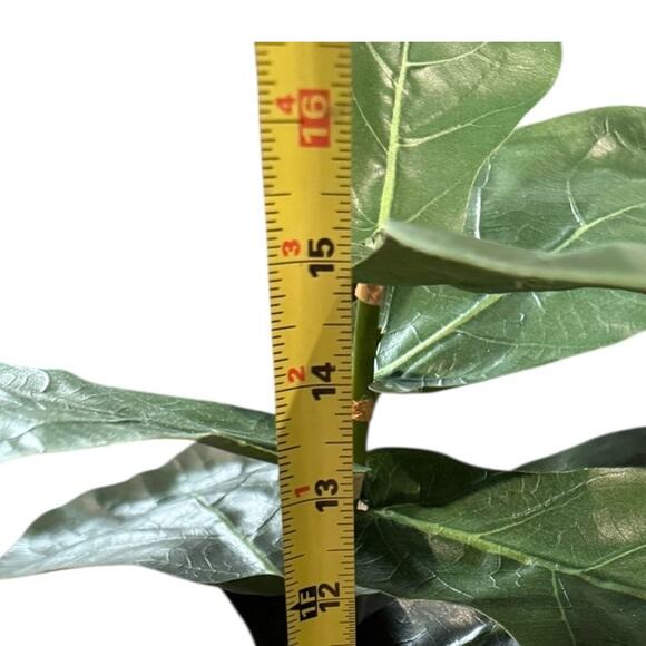 POTTERY BARN Small Faux Fiddle Leaf Fig Tree - Picture 4 of 9